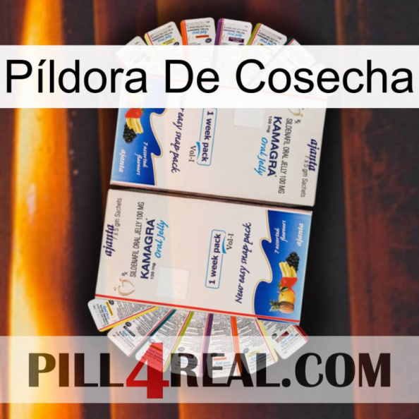 Píldora De Cosecha kamagra1.jpg